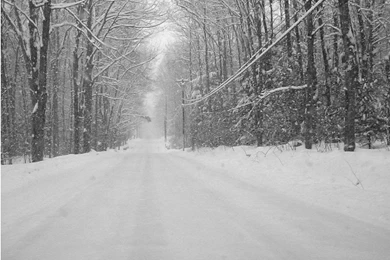 Outdoor / Nature Photographs   Desktop Wallpapers   1600 X 1200 ...