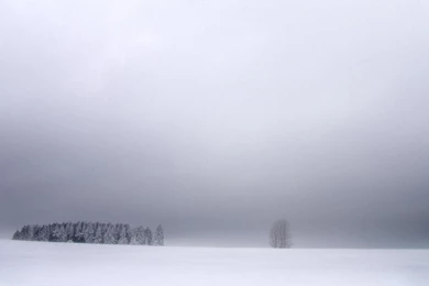 Snow Winter Nature Snow Storm Storm HD Wallpapers, Desktop ...