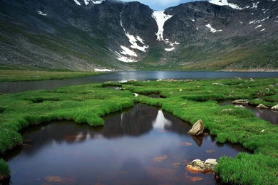 Desktop Backgrounds HD Nature Live