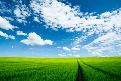 Landscape High Resolution (id: 38139) – BUZZERG