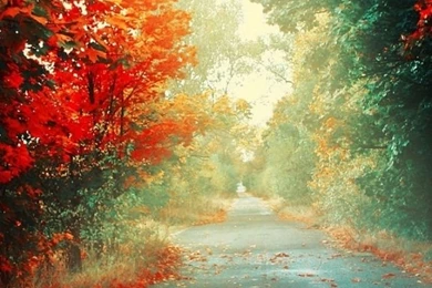 50 Most Demanding Retina Ready Iphone 5 Wallpapers Hd Amp ...