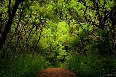 Landscape High Resolution 10 Wallpapers