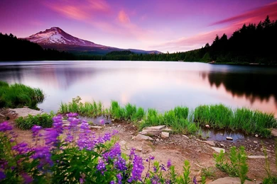 Nature Wallpapers HD Desktop