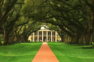 Hd Pictures Of Nature