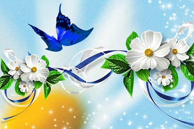 Butterfly Wallpapers