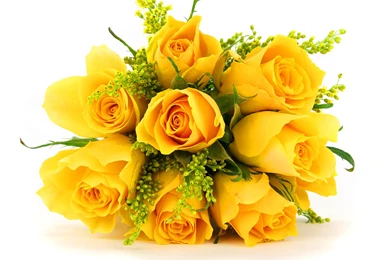 Yellow Rose Backgrounds