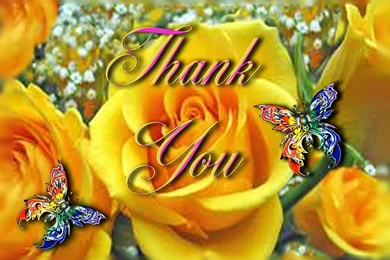 Yellow Roses Wallpapers HD (28)