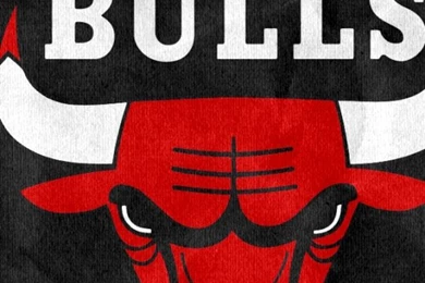 Download Wallpapers 540x960 Chicago Bulls, 2015, Logo Android HTC ...