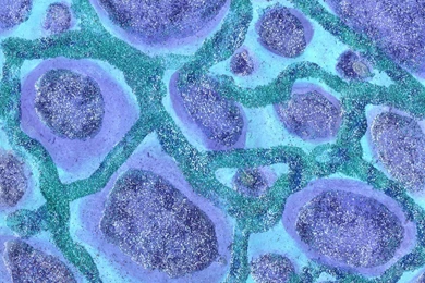 Monsters Inc Stuff On Claire and Brock   DeviantArt