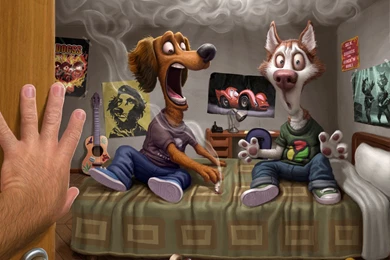 Funny PC Wallpaper Images Photos   FynnEXP