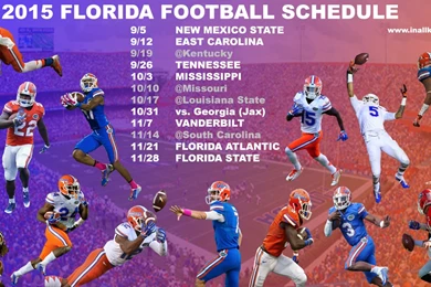 Florida Gators Football Wallpapers   Wallpapers Zone