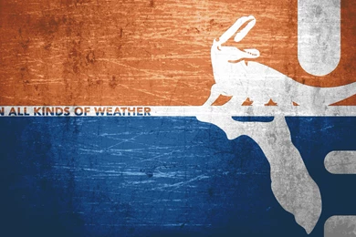 Florida Gators Wallpapers   Uwallo