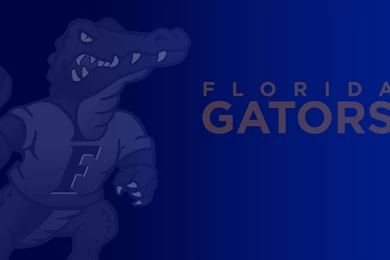 Florida Gators Football Wallpapers   Wallpapers Zone