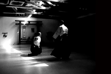 Aikido Desktop Wallpapers (1600 X 1000)