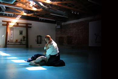 Aikido Desktop Wallpapers (1600 X 1000)