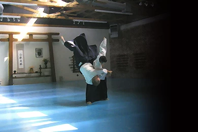 Aikido Wallpapers   Wallpapers Cave