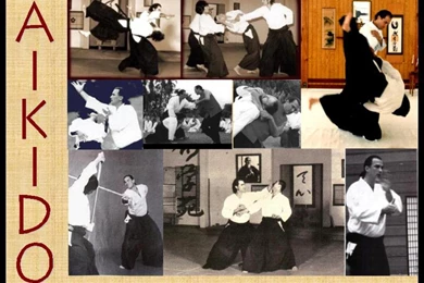 Wallpapers Hapkido Aikido The Free Steven Seagel Promoting ...