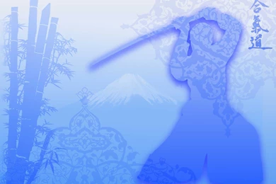 Razmy Wallpapers   AikiWeb Aikido Image Gallery