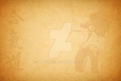 Aikido Wallpapers By Tatsumecz On DeviantArt