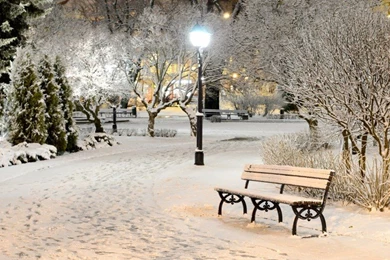 Snowy Park Night Wallpapers