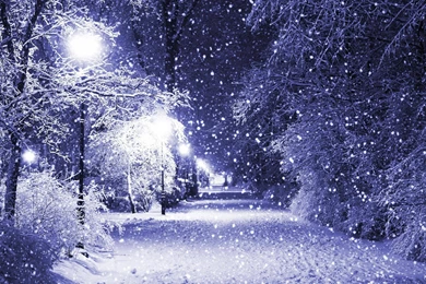 Winter Snow Night Park Trees Lights Nature