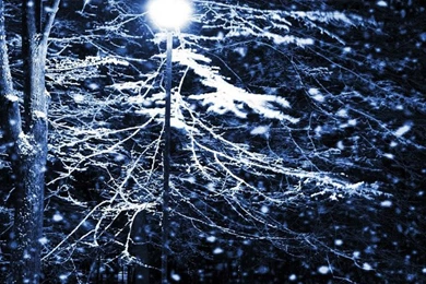 Snow Night Park iPhone 4s Wallpapers Download