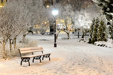 Bench, Winter Park, Snow, Night, Lights, Lantern, Nature, Trees