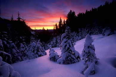 Winter Snow Night (id: 99383) – BUZZERG