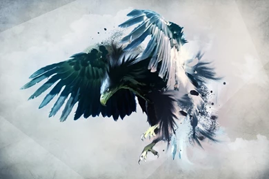 Eagles Wallpapers Collection (43+)