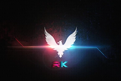 Top Philippine Eagle Hunting Wallpapers