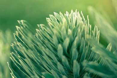 HTC One M8 2014 Stock Wallpapers