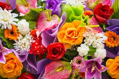 Colorful Flowers Wallpapers HD