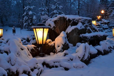 Light Landscapes Nature Snow Forest Wallpapers