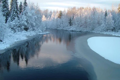 Snow Forest Winter Landscapes Lake Wallpapers   (