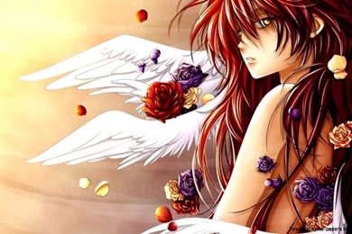 Japanese Anime Wallpapers