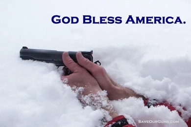 Gun Rights Prints   Individual Gun Rights Protect The Bill Of Rights