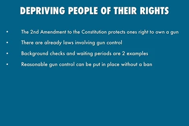 Gun Control By Joprison