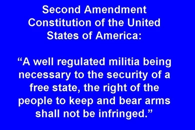 Top The Second Ammendment Secure Wallpapers