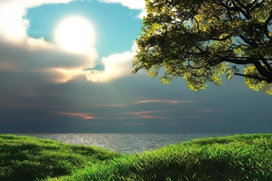 Beautiful Picture Wallpapers : Nature Wallpapers   Semrawut