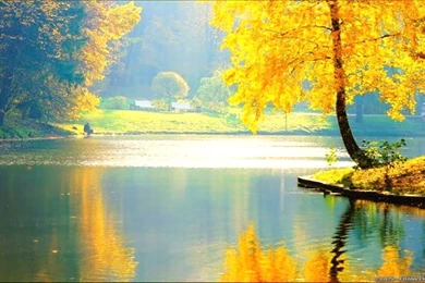 Beautiful Wallpapers 23   Best Wallpapers Collection