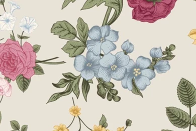 Floral Wallpapers   Image