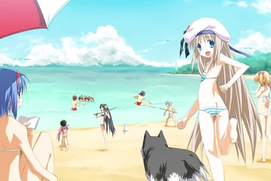 Beach Games Wallpapers And Images   Wallpapers, Pictures, Photos