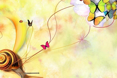 Art Beautiful Yellow Insects Ladybug Deviantart Butterflies Snail ...