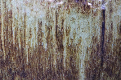 Free Grunge Textures