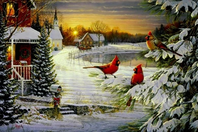 Cardinals Birds   Cardinal's Christmas Wallpapers   HD Wallpapers ...