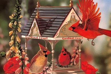 Birds Paintings : Red Cardinals And Lovely Birdhouse < FileIndex ...