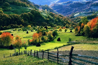 Natural Wallpapers For PC