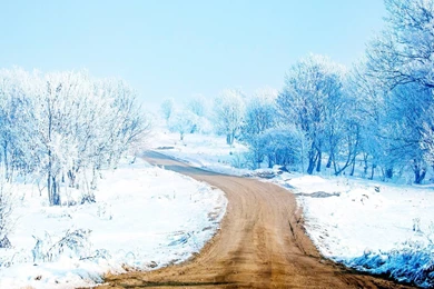 Hd Wallpapers   AmusingFun.com