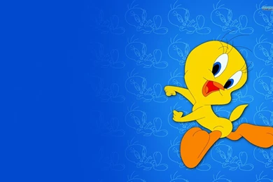 Cartoons Wallpapers Collection (42+)