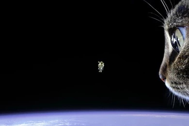 Epic Desktop Wallpapers : TheCHIVE